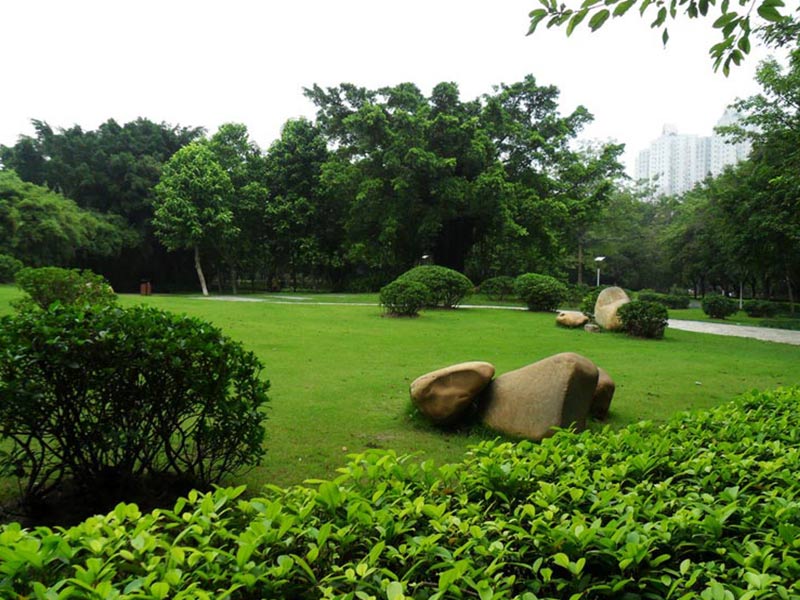 廣場綠化養(yǎng)護.jpg