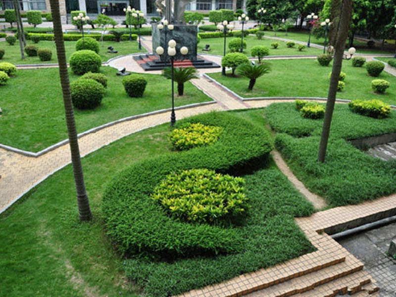 無(wú)錫綠化植物.jpg